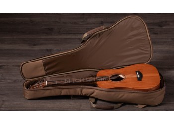 Taylor BT2 Baby Taylor Acoustic Travel Guitar - Mahogany