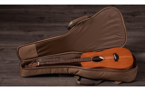 Taylor BT2 Baby Taylor Acoustic Travel Guitar - Mahogany