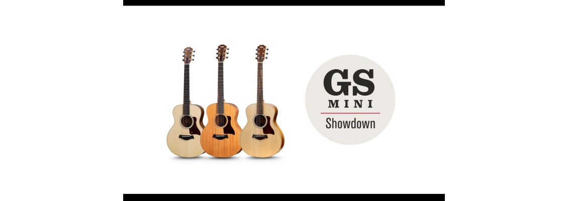 Taylor GS Mini Series - Small Bodies and a Massive Sound