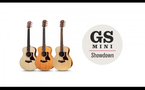 Taylor GS Mini Series - Small Bodies and a Massive Sound