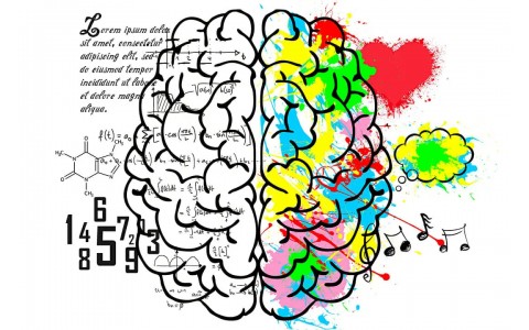 The Myriad Benefits of Learning a Musical Instrument
