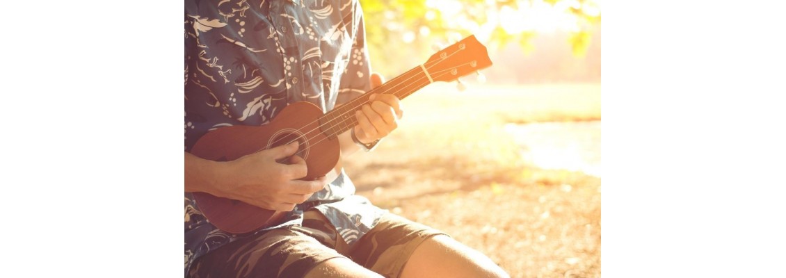 A Rough Beginner's Guide to the Ukulele A Rough Beginner's Guide to the Ukulele
