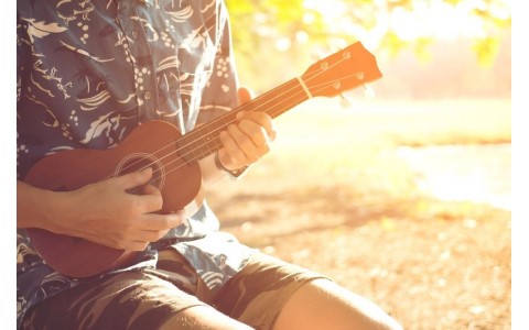 A Rough Beginner's Guide to the Ukulele