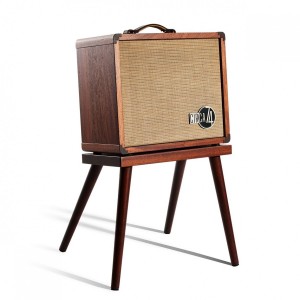 Taylor Circa74 150w Acoustic Guitar Amp with Stand