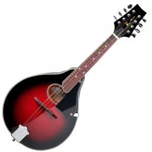 Clareen Banjos - The Bridge Mandolin with Case