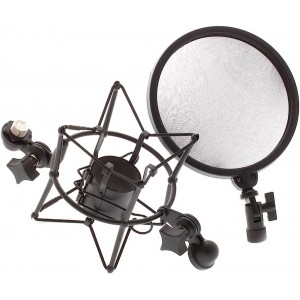 LD DSM 400 - Microphone Shock Mount with Pop Filter