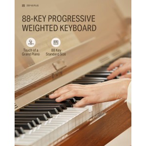Donner DDP-80 PLUS 88 Key Weighted Digital Piano with Stand and Pedal