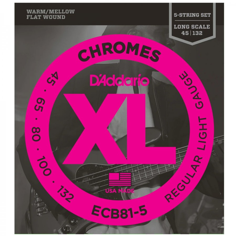 D'Addario ECB81-5 5-String Bass Guitar Strings, Light, 45-132, Long Scale