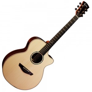 Faith Venus HiGloss - Including Hardcase