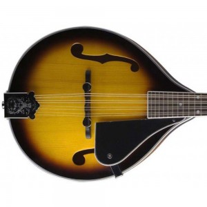 Stagg M40s Bluegrass Mandolin