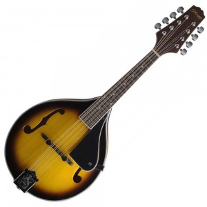 Stagg M40s Bluegrass Mandolin