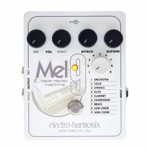 Electro Harmonix Mel 9 Tape Replay Machine