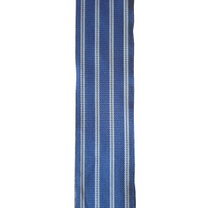 Musicmaker Sustainable Strap - Blue White Striped