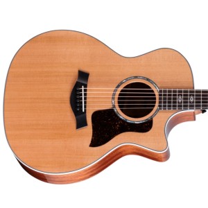 Taylor Next Generation 514ce Cedar / Mahogany