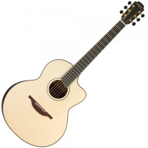 Lowden Pierre Bensusan Signature Acoustic Guitar