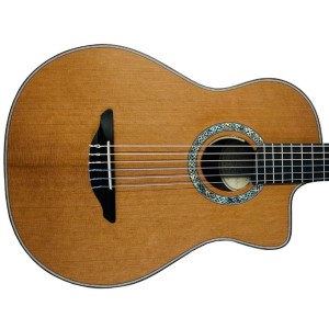 Avalon Guitars S35 Performer Series Rosewood/Cedar Nylon