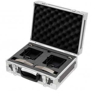 sE Electronics T2 Condenser Microphone - Matched Pair