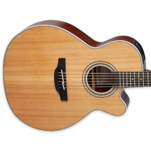 Takamine GN20CE NEX Cutaway Solid Cedar Top, Mahogany Back & Sides