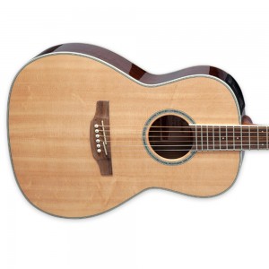Takamine New Yorker - Solid Spruce Top, Black Walnut Back & Sides
