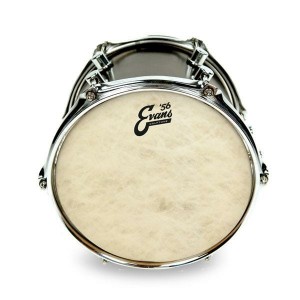 Evans Calftone Drum Head - 13