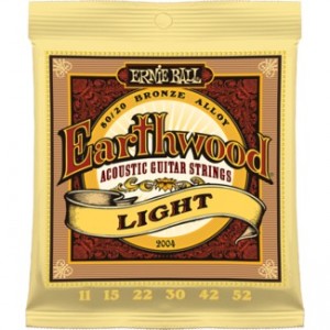 Ernie Ball Earthwood 2004 80/20 Bronze Light Set