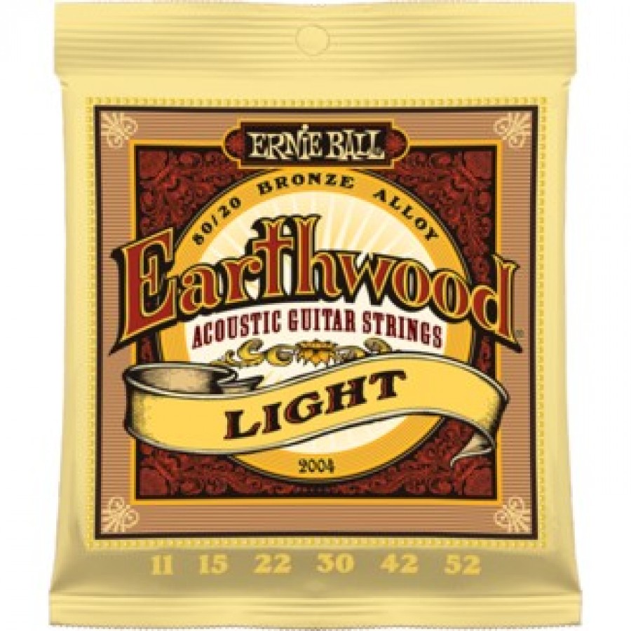Ernie Ball Earthwood 2004 80/20 Bronze Light Set