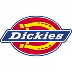 Dickies Pick Pocket - Torquois