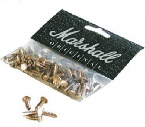 Marshall Gold Rivets (x100)