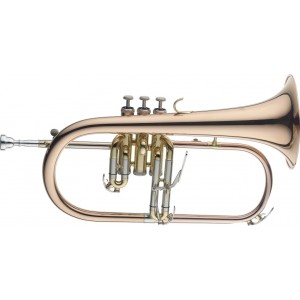 Bb Flugelhorn, Goldbrass instrument